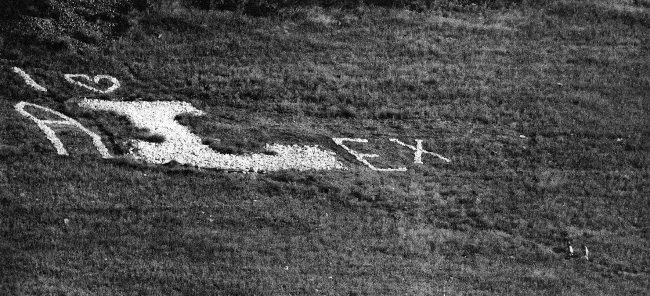 I ❤️ Alex on Mount Jumbo, 1998